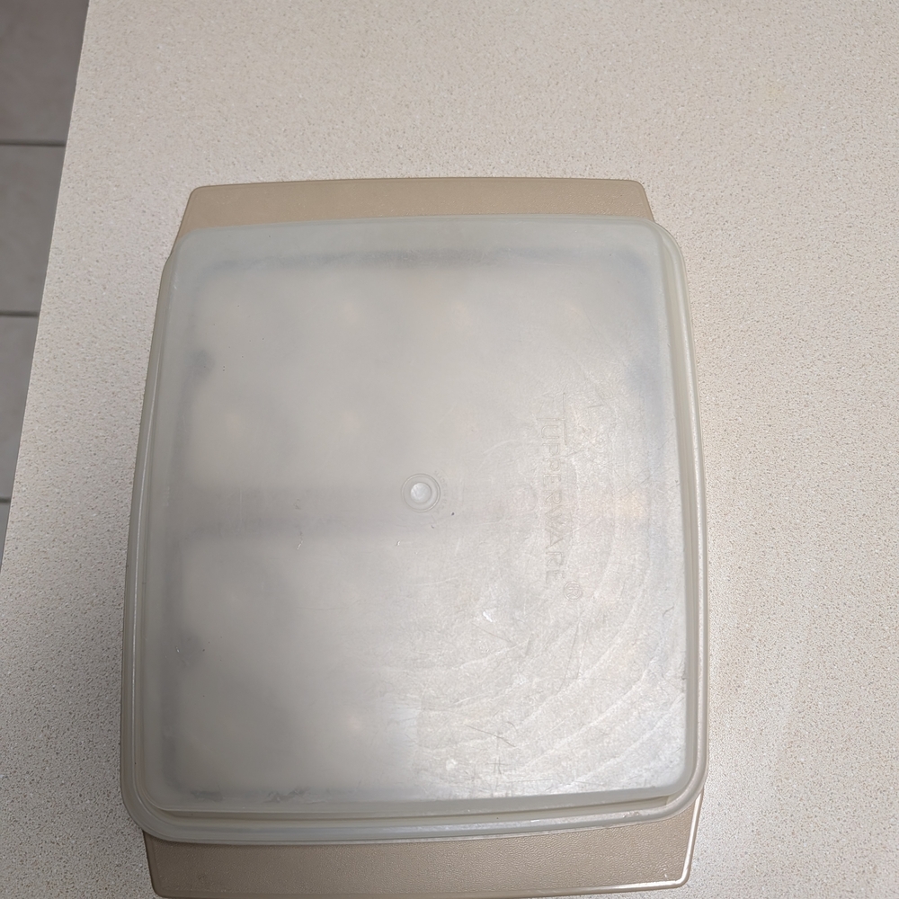 Tupperware Tan and Clear Serveware